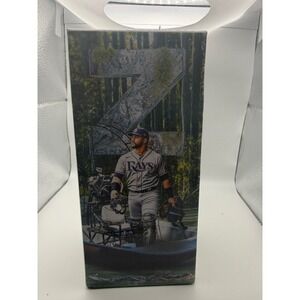 Tampa Bay Rays Mike Zunino Florida Man Bobblehead MLB Baseball Collectible Boxed